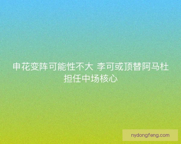 申花变阵可能性不大 李可或顶替阿马杜担任中场核心