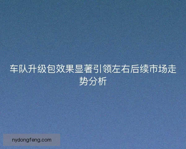 车队升级包效果显著引领左右后续市场走势分析