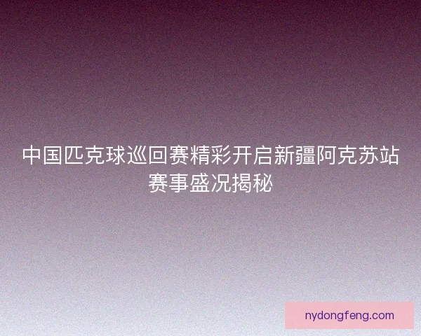 中国匹克球巡回赛精彩开启新疆阿克苏站赛事盛况揭秘