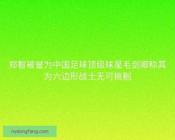郑智被誉为中国足球顶级球星毛剑卿称其为六边形战士无可挑剔